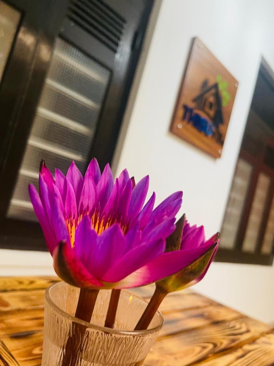 Thisu Villa Zuid-Dikwella Buitenkant foto